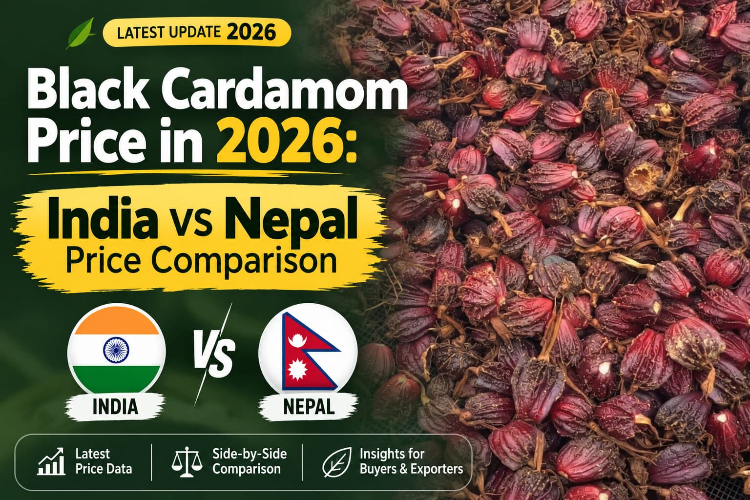 Black cardamom price in 2026 comparison between India and Nepal