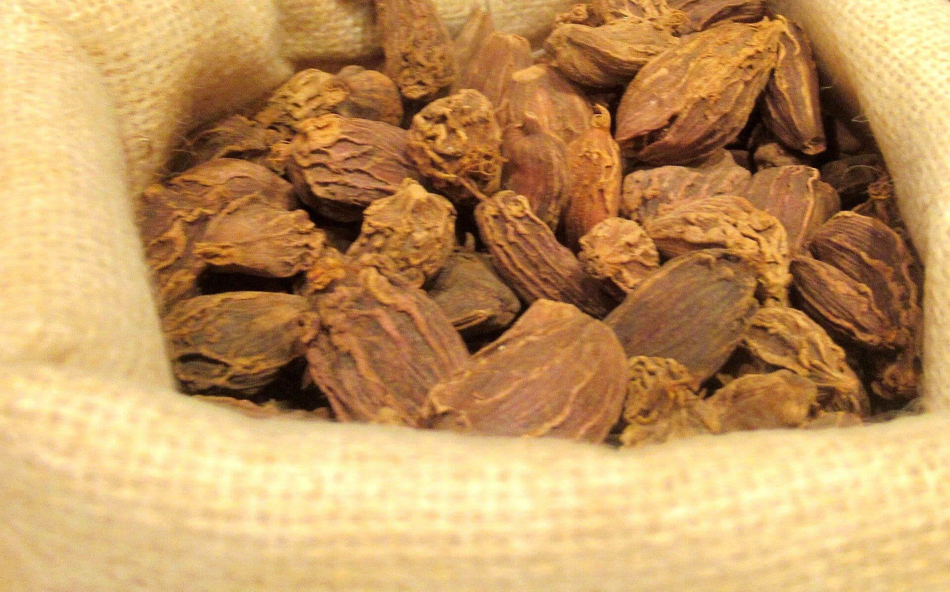 Bulk black cardamom in 25kg jute sacks ready for export — Arun Valley Exports, Nepal