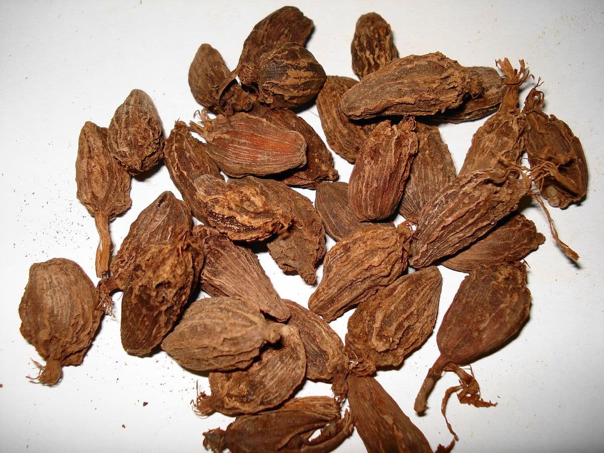 Whole smoked Nepali black cardamom pods for biryani on a white background