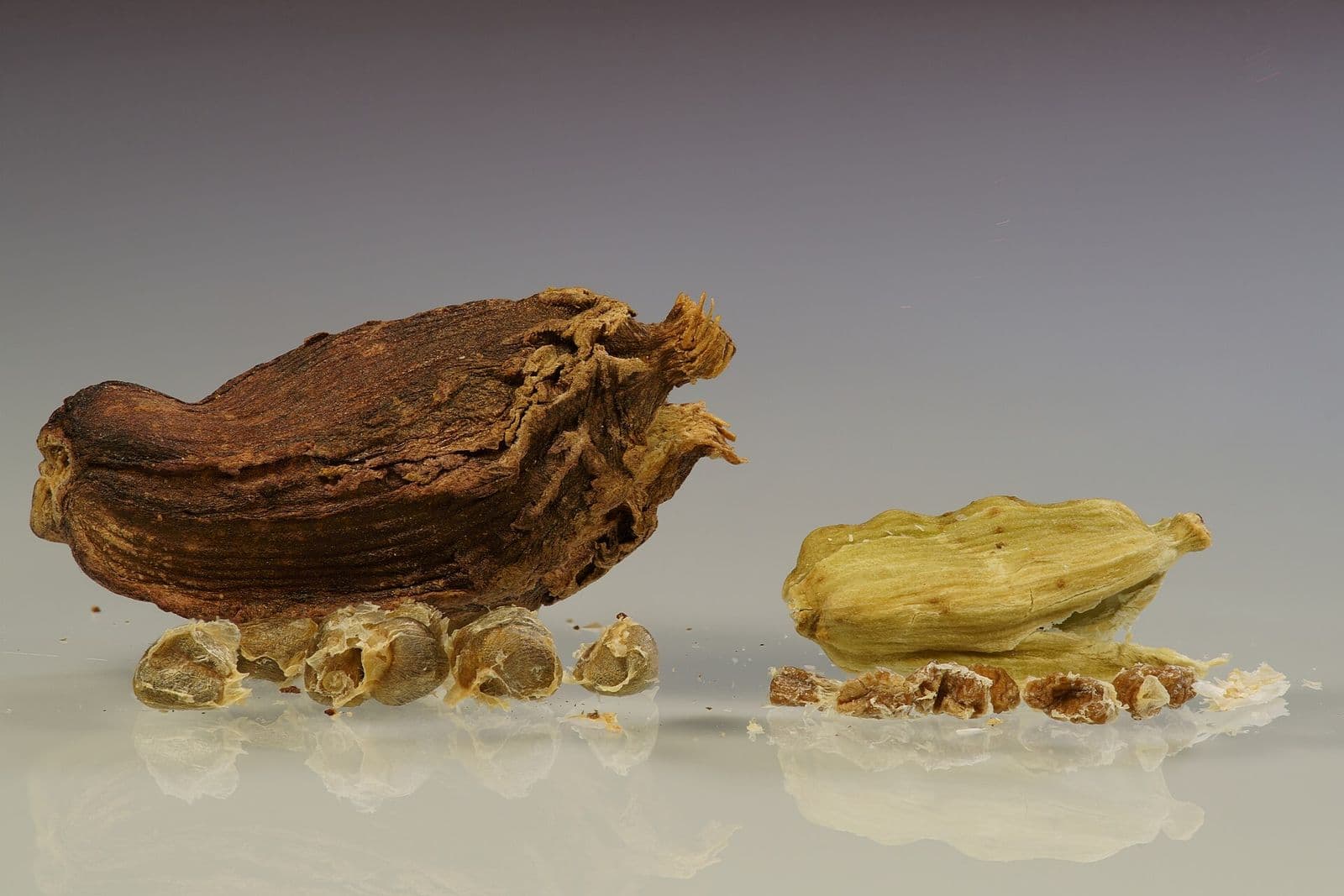 A black cardamom pod and a green cardamom pod side by side with their loose seeds